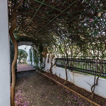 Villa Papaya Residence Pafos Dış mekan fotoğraf