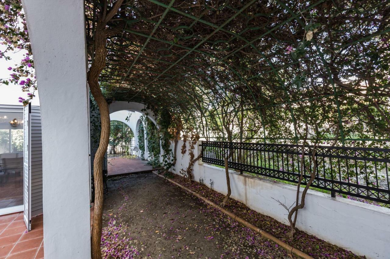 Villa Papaya Residence Pafos Dış mekan fotoğraf